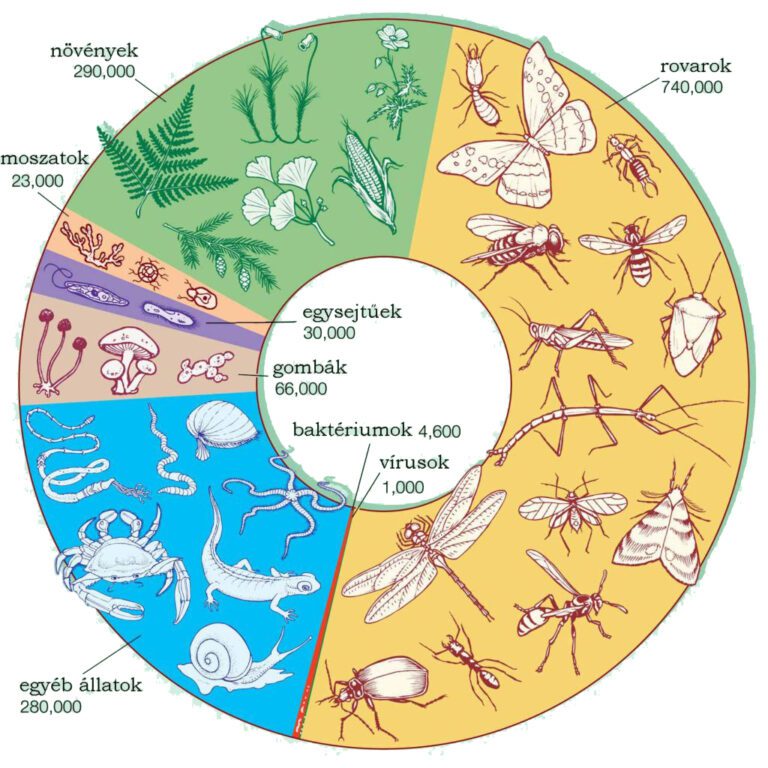 Biodiverzitás