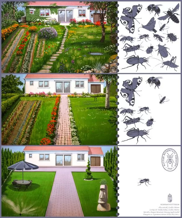 biodiverzitás