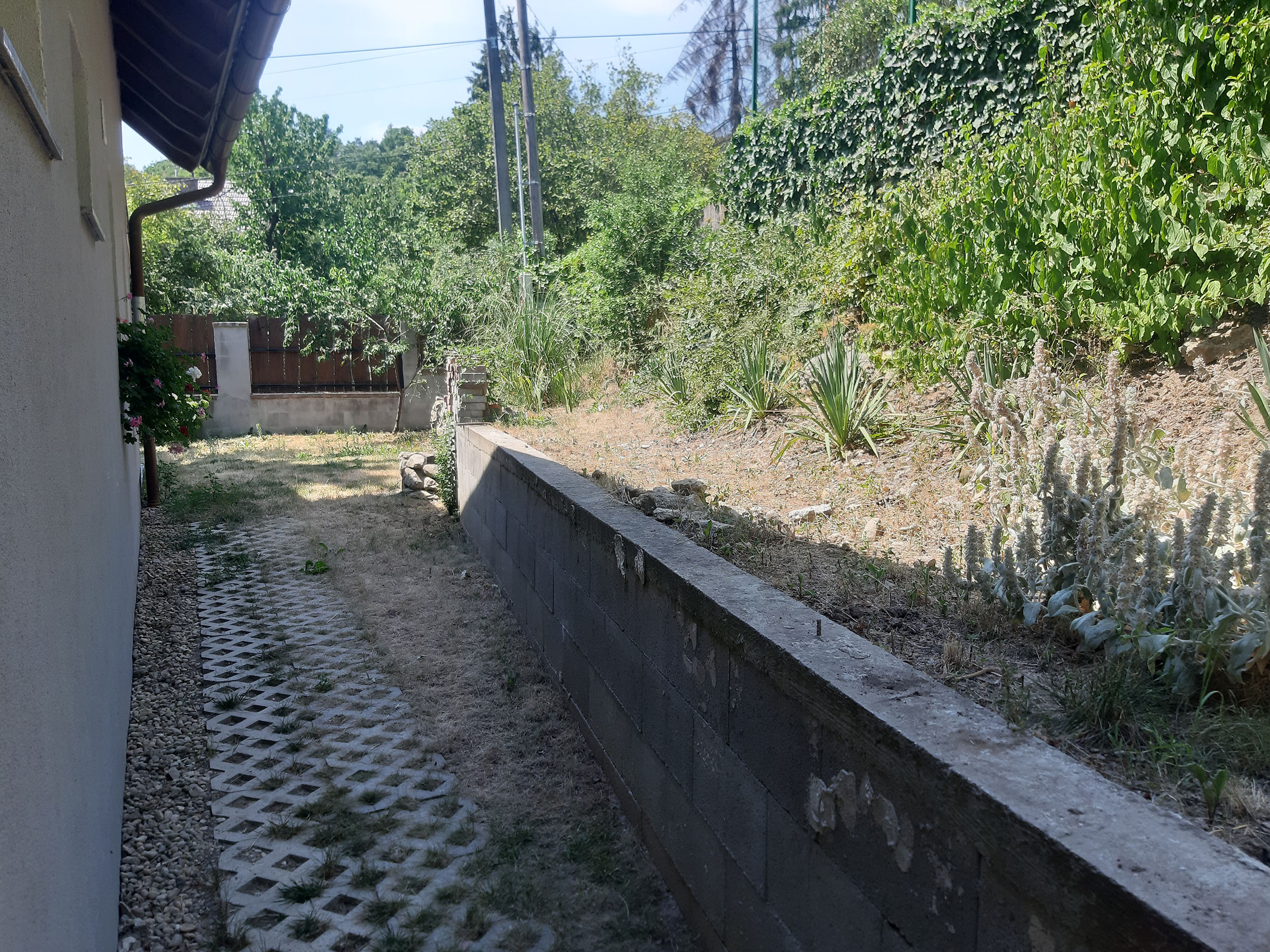 Kertepites Szentendre 2023 GU1