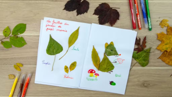 Biodiverzitas tanulasa mar gyerekkorban